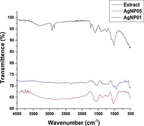 Figure 3. Comparative FTIR spectra of leaf extract, AgNP05 and AgNP01 obtained from D. carota L. (DCLE).