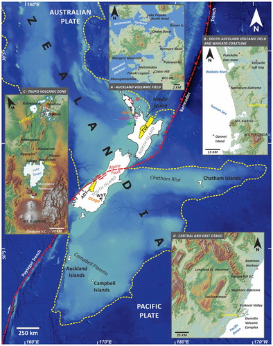 Figure 1. Topographic and tectonic settings of the broader environment of New Zealand (Zealandia) with respect to the locations of Cenozoic monogenetic volcanism; Auckland Volcanic Field (AVF) (inset A), South Auckland Volcanic Field (SAVF) and Waikato coastline (W) (inset B), Taupo Volcanic Zone (TVZ) (inset C) and Central and East Otago with Waipiata Volcanic Field (WVF) and Dunedin Volcanic Complex (inset D). Bathymetric information of offshore Zealandia was derived from the 250 m resolution gridded bathymetric data (2016), National Institute of Water and Atmospheric Research (NIWA) (Mitchell et al. Citation2012). Tectonic and structural information from Mortimer et al. (Citation2017). Regional maps of the TVZ, South Auckland and Waikato region and the central Otago region were plotted to the 8 m NZ DEM (LINZ – Land Information New Zealand Citation2012), whereas the Auckland Volcanic Field was mapped on a 1 m LiDAR DEM (LINZ – Land Information New Zealand Citation2013).