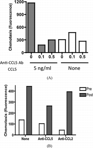 FIGURE 3 CCL5-driven chemotaxis of human PBMCs. (A) Chemotaxis of PBMCs induced by recombinant CCL5 was measured in the presence of indicated concentrations of anti-CCL5 antibody (mg/mL). (B) Pre- (blank) and postoperative (solid) peritoneal fluid from case 1 was tested for the chemotactic potential of human PBMCs in the presence of 0.1 mg/mL of anti-CCL5 antibody or anti-CCL2 antibody. Data are shown as an average of duplicated assay.