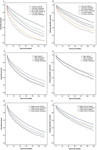 Figure 2. Overall survival (OS) and cancer-specific survival (CSS) in patients with multiple myeloma by age at diagnosis, sex, and income. (a) Age at diagnosis and marital status, OS; (b) age at diagnosis and marital status, CSS; (c) sex and marital status, OS; (d) sex and marital status, CSS; (e) income and marital status, OS; and (f) income and marital status, CSS.