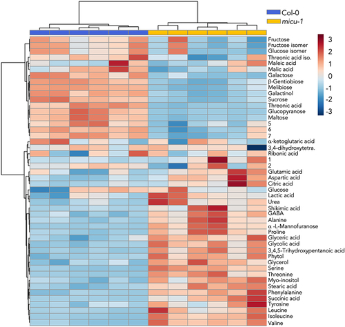 Figure 3. Metabolomics assessment of Col-0 versus micu-1 leaves. heatmap representation and clustering analysis of differential metabolites detected between Col-0 (blue bar heading) and micu-1 (yellow bar heading) extracts. Only metabolites with p <0.05 values as assessed by ANOVA are shown. For Col-0 and micu-1 metabolite sample groups N = 3 and n = 6.