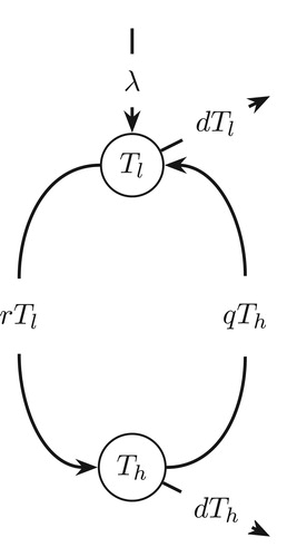 Figure 1. Schematic diagram of target cell population switch model.