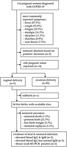 Figure 1. A brief summary of maternal, fetal, and neonatal outcomes.