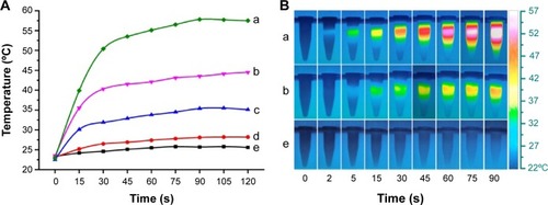 Figure 10 (A) Temperature curves and (B) thermograph map of different concentrations of TMSG under exposure to a 785-nm laser (3 W/cm2) over a period of 2 minutes.Notes: (a) 60 μg/mL, (b) 40 μg/mL, (c) 20 μg/mL, (d) 10 μg/mL, and (e) 0 μg/mL.Abbreviations: TMSG, tLyp-1 peptide and polyethylene glycol co-modified mesoporous silica-coated gold nanorods; s, seconds.