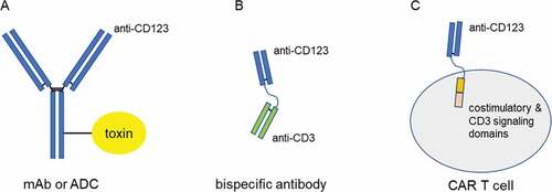 Figure 1. Schematic of the modalities used to target CD123