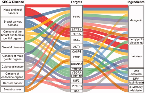 Figure 5. KEGG enrichment pathway analysis of the potential targets of RP compounds against kinases involved in cancer signaling. The diagram shows the KEGG diseases and the RP compounds corresponding to the intersection targets establishing the relationship between the compound and the various cancer types.