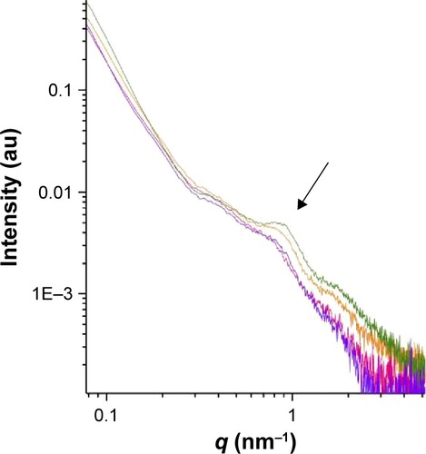 Figure 5 SVT-LCN_MaiLab interaction with mucus plus lysozyme.Notes: SAXS intensity spectra of SVT-LCN_MaiLab in artificial mucus (0.5%) after mucus subtraction: without lysozyme (green line) and in interaction with lysozyme at different times: t=0 hours (orange line), t=6 hours (pink line), and t=8 hours (violet line). The arrow indicates the position of the characteristic structure peak of nanoparticles.Abbreviations: SAXS, small-angle X-ray scattering; SVT-LCNs, simvastatin-loaded lecithin/chitosan nanoparticles; Mai, Maisine; Lab, Labrafac; q, momentum transfer.