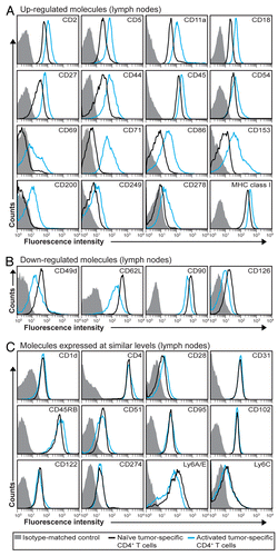 Figure 2. Expression pattern of molecules on the surface of tumor-specific CD4+ T cells in draining LN after in vivo activation. (A–C) T-cell receptor (TCR)-transgenic SCID mice (n = 6–12) were injected s.c. with MOPC315 myeloma cells. Eight d later, the activation of tumor-specific (GB113+) CD4+ T cells from pooled tumor-draining lymph nodes (LNs) was analyzed by flow cytometry (blue curves). Filled gray areas indicate isotype-matched control stainings of activated T cells. For comparison, naïve tumor-specific CD4+ T cells from pooled LNs from non-injected TCR-transgenic SCID mice are shown (black curves). (A) Surface molecules that were upregulated after activation. (B) Surface molecules that were downregulated after activation. (C) Surface molecules that were expressed at similar levels on naïve and activated tumor-specific CD4+ T cells. Data are representative of 2–4 experiments.