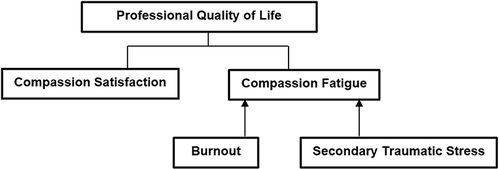 Figure 1 ProQOL Model: Burnout and Secondary Traumatic Stress are distinct but correlated factors in Compassion Fatigue.