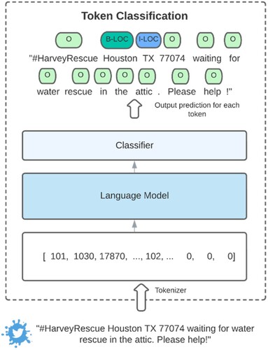 Figure 1. Demonstration of token classification workflow.