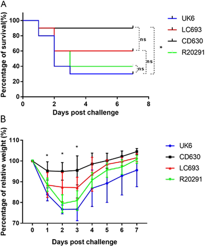 Fig. 8 LC693 is virulent in a mouse model of CDI.Four groups of mice (n = 10) were challenged with 106 spores of UK6, LC693, CD630, or R20291. Mice were monitored for one week for survival (a) and weight changes (b). Animal survival was analyzed by Kaplan–Meier survival analysis with a log-rank test of significance (ns not significant, p > 0.05). The mean relative weight of mice was analyzed for significance using a Student’s t-test. *p < 0.05 between the CD630 and LC693 groups at 1, 2 and 3 days post challenge; p < 0.05, between the CD693 and UK6 groups at 2, 3, 5, 6, and 7 days post challenge; p < 0.05 between the LC693 and R20291 groups at 2 and 3 days post challenge; and p > 0.05 between the UK6 and R20191 groups at all assayed time points