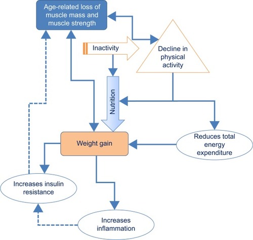 Figure 2 Influences of physical activity and nutrition on sarcopenic obesity.