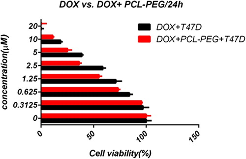 Figure 16. Cytotoxic effect of free and encapsulated doxorubicin on T47D over a 24-h exposure.