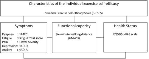 Figure 1. Conceptual model for the relation between variables in patients with chronic heart failure (CHF) and chronic obstructive pulmonary disease (COPD), with indication of the used measuring instruments. mMRC: modified Medical Research Council Dyspnea scale; HAD: Hospital Anxiety and Depression Scale, EQ5D5L-VAS: Visual Analogue Scale of the EuroQol group.
