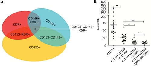 Figure 7 Putative antigenic phenotype of mCECs.Notes: (A) A wide range of markers, including CD34+, CD133–, CD146+, and KDR+, are used to define the phenotype of mCECs. (B) The overlaps between different markers represent the detection threshold of each antigenic combination. *P<0.05; **P<0.01. Wilcoxon test was used to analyze data.Abbreviations: CECs, circulating endothelial cells; KDR, kinase insert domain receptor; mCECs, mature CECs.