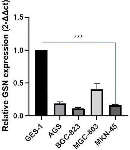 Figure 5 qRT-PCR of GSN expression in STAD cell lines and human normal gastric epithelial cell line GES-1. P-value significant codes: p≤***≤0.001.