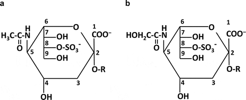Figure 1. Structure of 8-O-sulfated sialic acids in the α-configuration. (a) 8-O-sulfated Neu5Ac. (b) 8-O-sulfated Neu5Gc. R, aglycon.