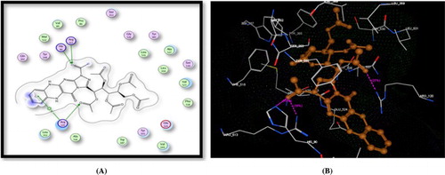 Figure 4. A) Binding of the candidate 16 with COX-2 (using MOE site finder programme), the dotted lines represent H-bonding interactions between acetyl C = O and His90 & Arg513 and Arg120 and the arene cation interactions between the benzene ring and Arg120. B) 3D interactions of 16 with His90 & Arg513 and Arg120 acid residues.