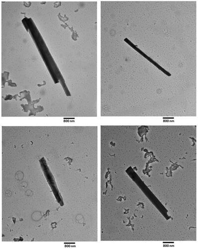 Figure 5. Representative TEM images of LA 2007 fibers aerosol samples. (Scale bar is 800 nm.)