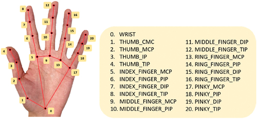 Figure 1. Positions of 21 hand key points.