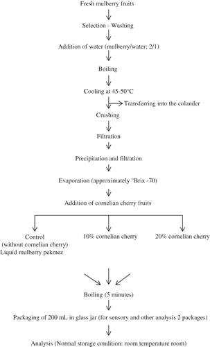 Figure 1 The process routes for mulberry pekmez with Cornelian cherry making in the research.