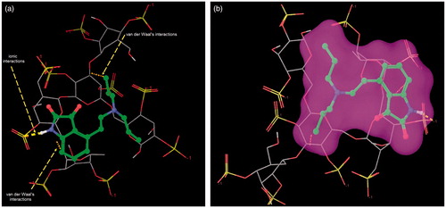 Figure 1. Representative in silico docking conformations validating the binding interactions of ROPI HCl with DS monomer. The structure of ROPI HCl is presented using the ball & stick model while that of DS is presented as lines.