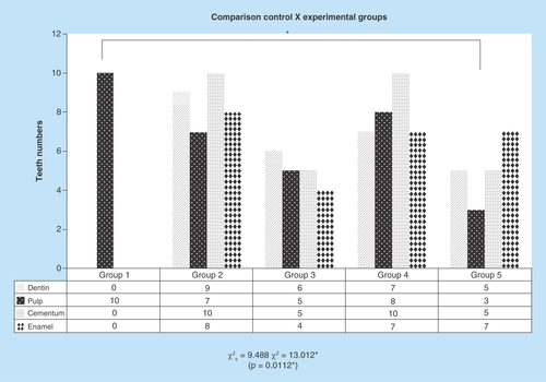 Figure 2.  Graph representative of microscopic structures changes on SEM. Comparisons between the experimental groups with the control group identifying significant difference on the group 5 observing all teeth structures as enamel, dentin, pulp and cementum.The differences were measured with respect to direct comparison with the control group (group 1), presence or absence of pulp, preservation or destruction of the dentine structure, enamel and cementum, presence or absence of cracks in the cement region.*p = 0.0112.