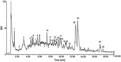 Figure 1. Base peak chromatogram of PS extract obtained in negative ionisation mode. Number of peaks refer to compounds tentatively identified in Table 1.