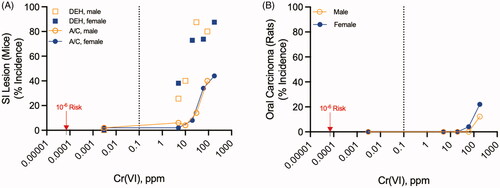 Figure 1. Oral carcinogenicity of Cr(VI). (A) Incidence of diffuse epithelial hyperplasia (DEH) in the duodenum and the combined adenoma/carcinoma (A/C) incidence in the duodenum and jejunum of B6CF1 mice exposed to Cr(VI) in drinking water for 2 years. (B) Incidence of oral tumors (squamous cell carcinoma) in F344 rats exposed to Cr(VI) in drinking water for 2 years. The vertical dotted line in each plot represents the current MCL for total chromium (0.1 ppm). The lowest data points in each plot represent the control group assigned 0.003 ppm, the 95th percentile Cr(VI) concentration in U.S. water sources (see text). The red arrows point to the 1E-6 risk concentration of 0.07 ppb (0.00007 ppm).