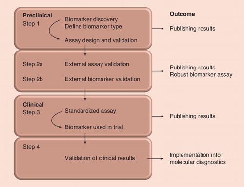 Figure 1. Milestones for bringing any candidate DNA methylation biomarker from the laboratory into molecular diagnostics.The pathway is more extensively described in the ‘Expert commentary’ section.