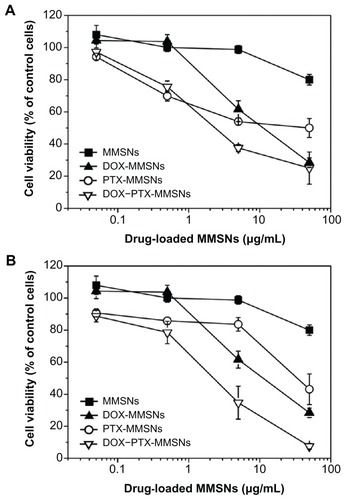 Figure 7 Tumor cell growth inhibitions induced by drug-loaded MMSNs. A549 cells were treated with empty or drug-loaded MMSNs for 48 hours. Notable cell growth suppressions were observed at: (A) 5 μg/mL of DOX–PTX-MMSNs and (B) 5–50 μg/mL of DOX–RAPA-MMSNs (P ≤ 0.05).Abbreviations: DOX, doxorubicin; MMSNs, magnetic mesoporous silica nanoparticles; PTX, paclitaxel; RAPA, rapamycin.