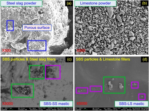 Figure 4. Microscopic morphology of fillers and the asphalt mastics.