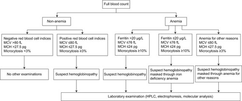 Figure 2 The algorithm of targeted antenatal nonsickling hemoglobinopathy screening.