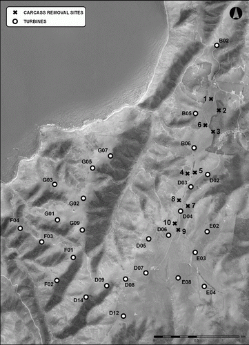 Figure 2  Turbine locations and carcass removal trial sites within the Project West Wind study area.