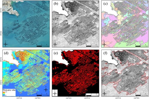 Figure 3. Example of mariculture areas extraction process in the coastal zone of Liaoning Province. (a) One of the temporal minimum images; (b) edge probability feature map; (c) segmentation results with a random color assignment to each object; (d) spectral feature map of segmented objects; (e) extraction results based on segmented object features; (f) final extraction results of mariculture areas.