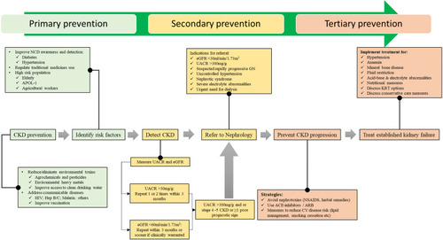 Figure 2 Primary, secondary and tertiary prevention strategies for CKD in LMICs.