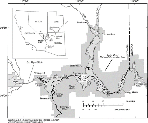 Figure 1 Sampling locations in Lake Mead, October 2008 and March 2009. Black lines represent benthic transects. Transect 1 in Las Vegas Bay (LVB), Transect 2 in Boulder Basin (BB) at Horsepower Cove and Transect 3 in Overton Arm (OA). Triangles represent sites of veliger tows: Station LVB4.15 in LVB, CR351.7 in BB, VR6.0 in OA. Map modified from Rosen and Van Metre (2009).