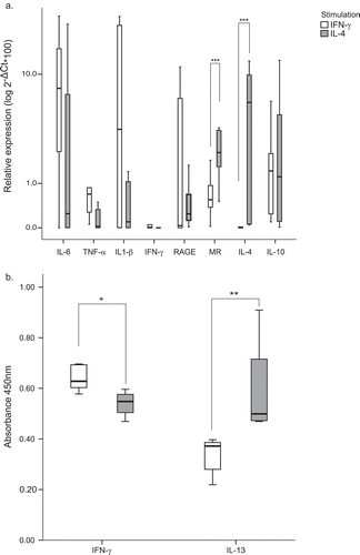 Figure 1. BDM in vitro differentiation with M1/M2 hallmark cytokines. BDM were cultured in the presence of the cytokines IFN-ɣ or IL-4. (a) Relative expression of M1 (IL-6, TNFα, IL1-β, IFN-ɣ and RAGE) and M2 (MR, IL-4, IL-10) markers was measured by quantitative RT-PCR. The values are expressed as the mean of 2-ΔCt*100 (±SE) in logarithm scale of at least 3 independent experiments normalized to the endogenous gene GAPDH. (b) Cytokine production in supernatants was assessed by rabbit IFN-ɣ and IL-13 ELISA kits. Values are represented as the median of the absorbance at 450nm (± interquartile range). * p < 0.05; ** p < 0.01; *** p < 0.001.