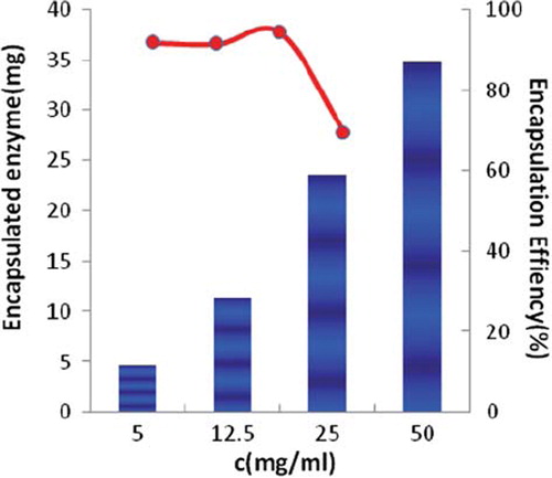 Figure 2. Effect of laccase concentration on encapsulation efficiency.