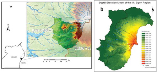 Figure 1. (a) Location of the study area in Uganda, Mt. Elgon region, (b) elevation map of the Mt. Elgon region and (c) land cover map of the Mt. Elgon region.