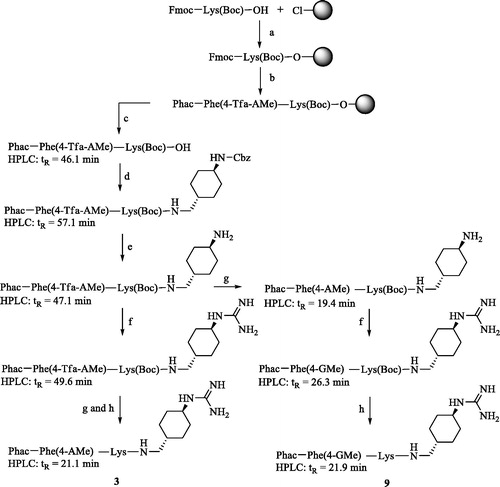 Scheme 1. Synthesis of inhibitors 3 and 9. HPLC analysis, used for monitoring the reactions, started at 10% solvent B. (a) Loading of 2-chlorotrityl chloride resin, Fmoc-Lys(Boc)-OH, 4 equiv. DIPEA in dry DCM, 2 h; (b) Manual Fmoc SPPS with 3 equiv. Fmoc-Phe(4-Tfa-AMe)-OH or phenylacetic acid, 3 equiv. HBTU and 6 equiv. DIPEA; Fmoc removal with 20% piperidine in DMF; (c) 1% TFA in DCM, 3 × 30 min; (d) 1 equiv. trans-1-(Cbz-amino)-4-aminomethyl-cyclohexane × HCl, 1 equiv. PyBOP, 3 equiv. DIPEA, DMF; (e) H2 and Pd/C as a catalyst in 90% acetic acid, stirring overnight at r.t.; (f) 3–6 equiv. 1H-pyrazole-1-carboxamidine × HCl, 4 equiv. DIPEA in DMF, 16 h; (g) 1 M NaOH in dioxane/water, pH 12 at r.t. 3 h, neutralization by 10% TFA; (h) 90% TFA, at r.t. 1 h, preparative HPLC. All HPLC measurements of intermediates started at 10% solvent B, the analysis of the more hydrophilic final inhibitors 3 and 9 started at 1% solvent B.