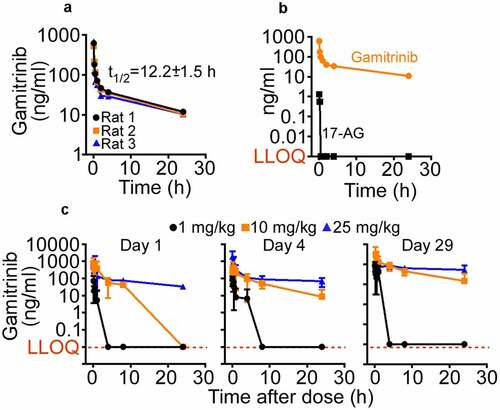 Figure 2. Gamitrinib PK in rats. (a) Gamitrinib (5 mg/kg) was injected IV in Sprague-Dawley rats and blood samples collected at the indicated time intervals were analyzed for Gamitrinib concentrations (Cmax). Data from three individual animals and t1/2 values (mean ± SD) are shown. (b) The conditions are as in (A) and plasma samples from rats administered IV Gamitrinib were analyzed for Gamitrinib or 17-AG concentrations. LLOQ, lower limit of quantification. (c) Male and female Sprague-Dawley rats administered Gamitrinib IV at three dose levels (1, 10 and 25 mg/kg/dose) twice weekly were analyzed for Gamitrinib concentrations (Cmax) on d 1, 4 and 29 of the dosing phase (mean ± SD). LLOQ, lower limit of quantification.