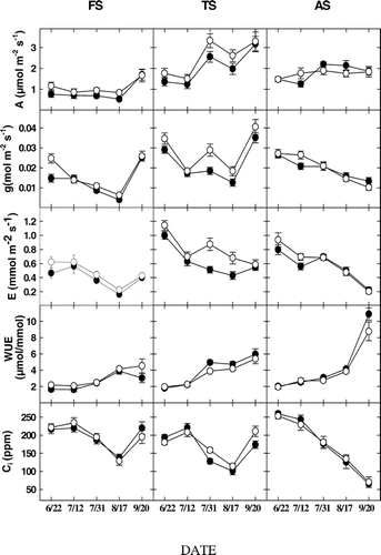 FIGURE 3.  Mean photosynthesis (A), leaf conductance (g), transpiration (E), water use efficiency (WUE), and intracellular concentration of CO2 (C i). in A. lasiocarpa (open symbols) and P. engelmannii (closed symbols) for the three study sites FS (subalpine forest, 2965 m), TS (upper treeline ecotone, 3198 m), and AS (alpine treeline, 3256 m) through the 2002 growing season. Values for WUE should be multiplied by 10−4, and vertical bars are standard errors