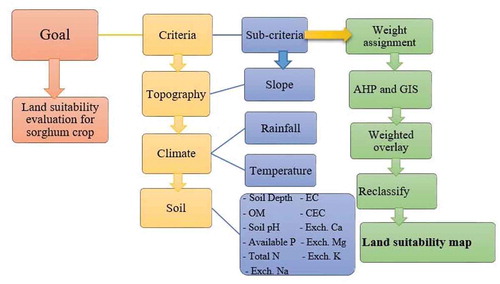 Figure 2. Hierarchical organizations of the land characteristics for sorghum production