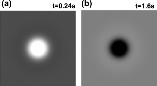 Figure 16. 2nd derivative images at the maximum (a) and at the minimum (b), calculated for the same noisy model as in Figure 15.