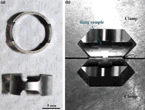 Figure 2. The photograph of (a) the ring specimen with gauge section and (b) the assembling type of the ring specimen for the I-SCC experiment.