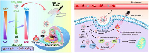 Figure 9. Schematic Illustration of Biodegradable CoSx QDs for PTT and Hyperthermal-Enhanced CDT of Tumors. Reproduced with permission from ACS 2022 (Zhu et al., Citation2022).