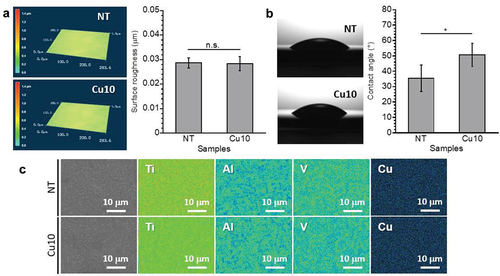 Figure 1. 3D laser microscopy images and surface roughness (a), quantification and optical images of water contact angles (b), scanning electron microscopy images and Ti, Al, V, O, and Cu mappings (c) obtained from NT and Cu10.