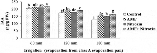 Figure 9. Interaction effect of irrigation and inoculation with bio-fertilizers on the IAA content of sorghum. Values represent means ± SE. Different letters indicate significant differences using LSD test (P <.05)