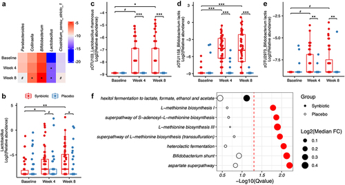 Figure 3. Alternations in gut microbiota composition and function profile during the synbiotic intervention. (a) Heatmap of log2 relative abundance of individual genera in the synbiotic group before and after the intervention. (b-e) Boxplot of Lactobacillus (b), zOTU103 within Lactobacillus rhamnosus (c), and zOTU1158 (d) as well as zOTU2973 (e) within Bifidobacterium lactis. dark lines in the boxes indicated medians, the width of the notches was the IQR, and error bars extended to most of the extreme values within 1.5 IQR. (f) significantly altered MetaCyc pathways at week 8 in the synbiotic group compared to baseline. FC were defined as the ratio of the abundance of pathways at week 8 and that at baseline. Significances of within- or between-group differences were identified by Wilcoxon signed rank test or Mann-Whitney U tests. Red dots indicated FDR-P was less than 0.05. #FDR-P < .1, *FDR-P < .05, **FDR-P < .01, ***FDR-P < .001. Abbreviations: FC, fold change.